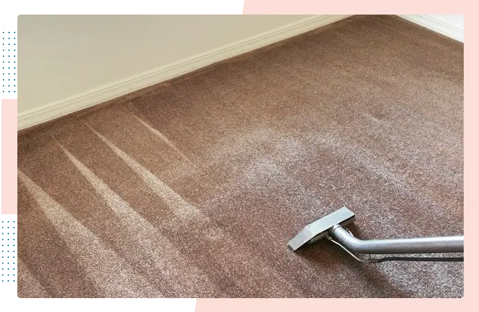 Professional carpet cleaning service in Alpine & South Jordan by Anchor Water Damage and Restoration