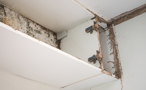 Lead Paint & Dust Safety in Salt Lake City – Anchor Water Damage