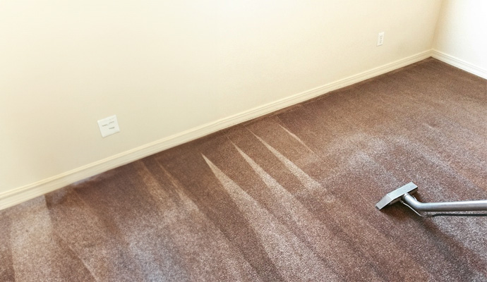 Carpet Cleaning Services in Salt Lake City & South Jordan