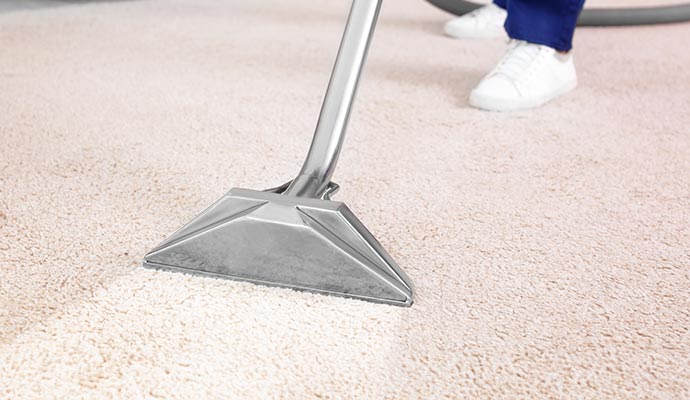 a professional cleaning a carpet