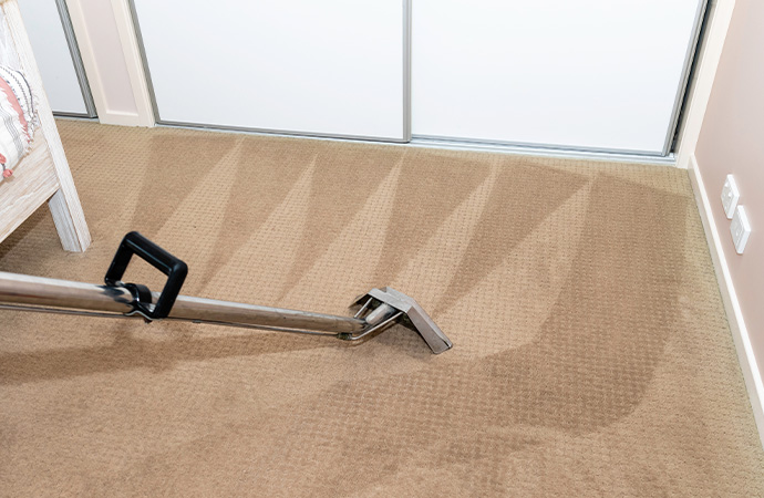 Carpet Cleaning Services in South Jordan