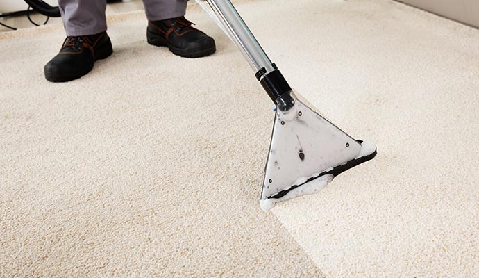 professional cleaning carpet odor