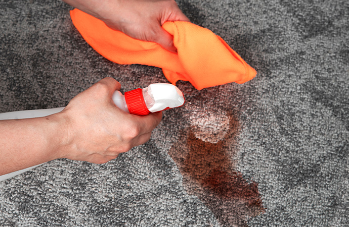 Catsup Stain Removal on Carpet