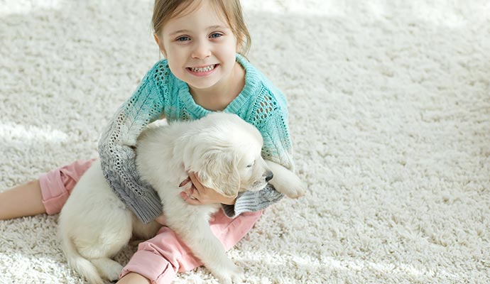 little girl with a dog on her lap on a carpet