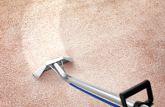 Clean your carpet often