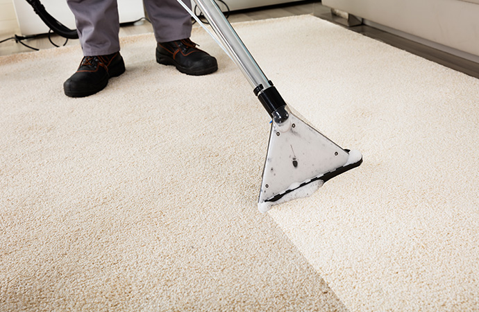 How Often Should My Carpets Be Cleaned