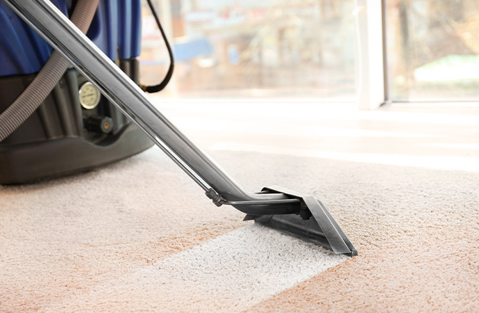 How often should you clean your carpet?