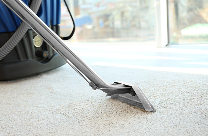 How to Find the Best Carpet Cleaner?