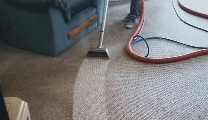 professional using an equipment to clean a carpet