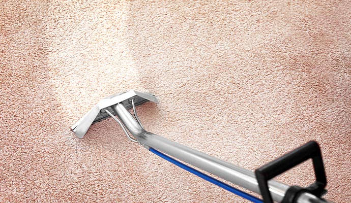 professional Carpet Stain Removal using equipment