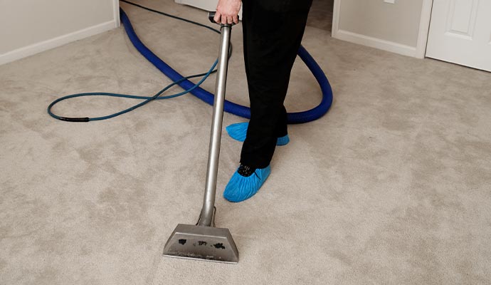 Professional Cleaning service