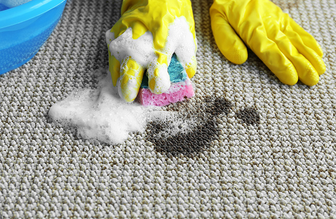 Spot removal tips for other types of spills