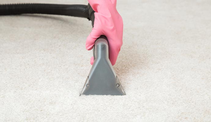 A professional removing stain from a carpet