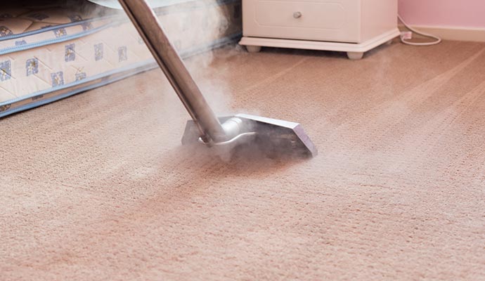 professional steam cleaning of a carpet