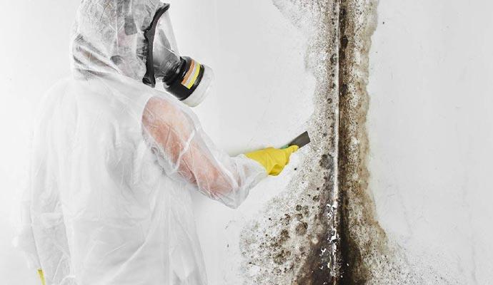 Professional wearing safety gear is removing mold using equipment.