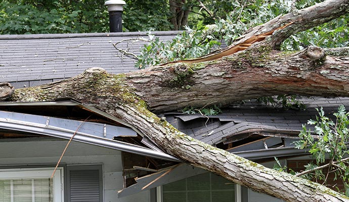 storm damaged roof