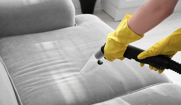 professional cleaning upholstery sofa